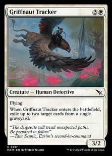 Карта Griffnaut Tracker &mdash; фото товару
