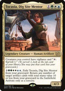 Карта Tocasia, Dig Site Mentor bro/224/en фото