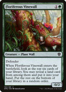 Карта Floriferous Vinewall &mdash; фото товару