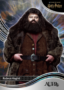 Колекційна карта Rubeus Hagrid &mdash; 2026 Kakawow Aura Harry Potter 25th Anniversary &mdash; фото товару