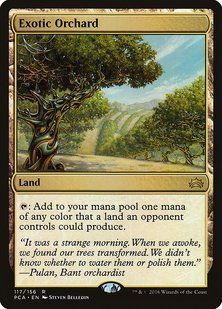 Exotic Orchard &mdash; Magic: The Gathering, Planechase Anthology #117, Non-foil, English &mdash; фото товару