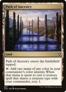 Path of Ancestry &mdash; Magic: The Gathering, Commander Legends: Battle for Baldur's Gate #907, Non-foil, English &mdash; фото товару