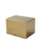Декбокс Dragon Shield Strongbox Gold, золотий