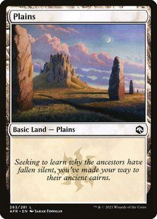 Plains &mdash; Magic: The Gathering, Adventures in the Forgotten Realms #263, Foil, English &mdash; фото товару