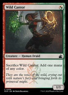 Wild Cantor &mdash; Magic: The Gathering, Ravnica Remastered #239, Non-foil, English &mdash; фото товару