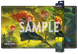 Плеймат "Merida" випуску Wilds Unknown - Lorcana TCG