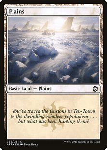 Plains &mdash; Magic: The Gathering, Adventures in the Forgotten Realms #262, Foil, English &mdash; фото товару