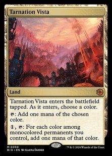 Tarnation Vista &mdash; Magic: The Gathering, The Big Score #30, Non-foil, English &mdash; фото товару