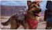 Плеймат з зображенням Dogmeat, Ever Loyal випуску Fallout