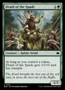 Карта Druid of the Spade &mdash; фото товару