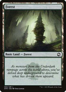 Forest &mdash; Magic: The Gathering, Adventures in the Forgotten Realms #280, Foil, English &mdash; фото товару