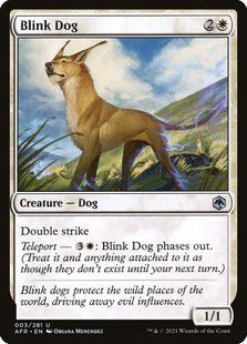 Карта Blink Dog afr/3/ru фото