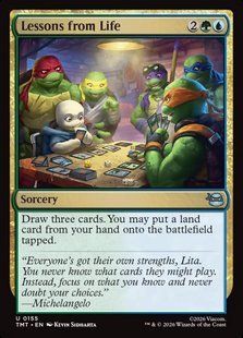 Lessons from Life &mdash; Magic: The Gathering, Teenage Mutant Ninja Turtles #155, Foil, English &mdash; фото товару