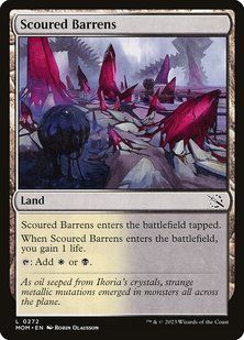 Карта Scoured Barrens &mdash; фото товару