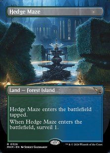 Карта Hedge Maze &mdash; фото товару