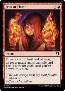 Карта Fists of Flame &mdash; фото товару