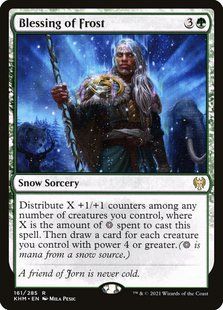 Карта Blessing of Frost &mdash; фото товару