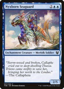 Карта Nyxborn Seaguard &mdash; фото товару