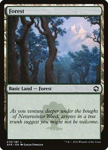 Forest &mdash; Magic: The Gathering, Adventures in the Forgotten Realms #279, Foil, English &mdash; фото товару