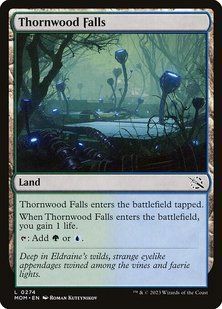 Thornwood Falls &mdash; Magic: The Gathering, March of the Machine #274, Foil, English &mdash; фото товару