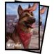 Протектори з зображенням Dogmeat, Ever Loyal - Fallout