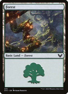 Карта Forest stx/375/ru фото