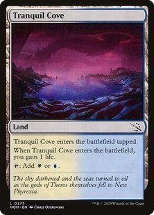 Tranquil Cove &mdash; Magic: The Gathering, March of the Machine #275, Foil, English &mdash; фото товару
