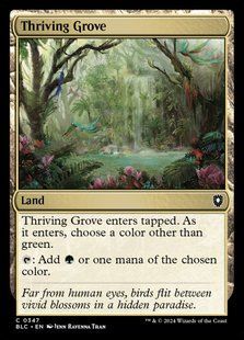 Карта Thriving Grove &mdash; фото товару
