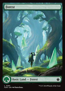 Карта Forest &mdash; фото товару