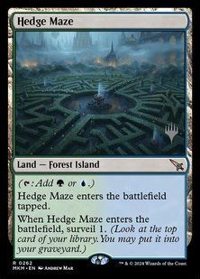 Карта Hedge Maze &mdash; фото товару