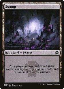 Swamp &mdash; Magic: The Gathering, Adventures in the Forgotten Realms #270, Non-foil, English &mdash; фото товару