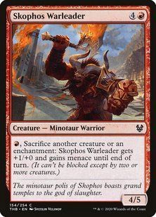 Карта Skophos Warleader &mdash; фото товару
