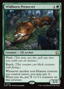 Карта Wildborn Preserver fdn/650/en фото