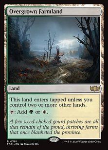 Overgrown Farmland &mdash; Magic: The Gathering, Tarkir: Dragonstorm Commander #381, Non-foil, English &mdash; фото товару