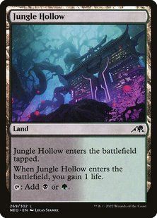 Карта Jungle Hollow &mdash; фото товару
