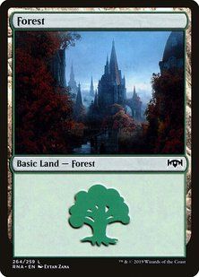 Forest &mdash; Magic: The Gathering, Ravnica Allegiance #264, Non-foil, English &mdash; фото товару
